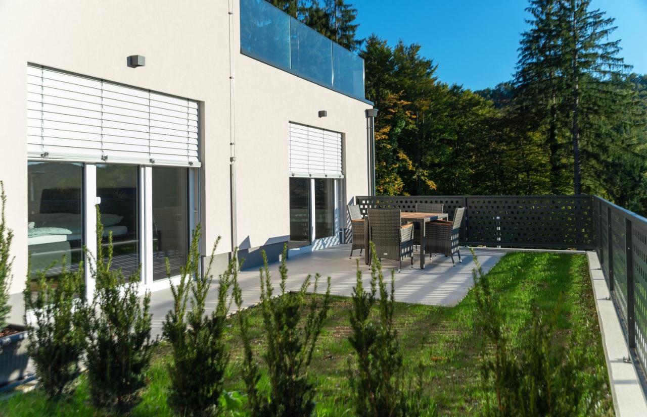Villa De Roya Рогашка Слатина Экстерьер фото