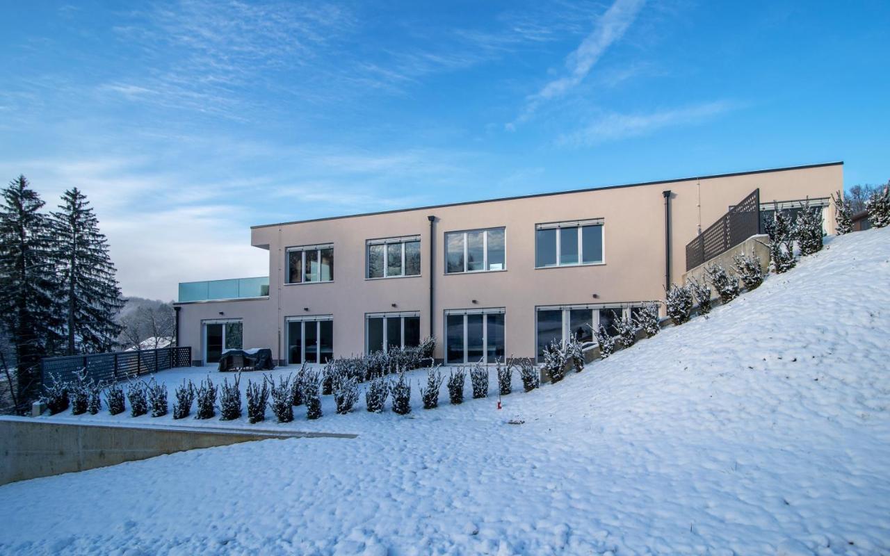 Villa De Roya Рогашка Слатина Экстерьер фото